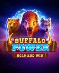Buffalo Power: Hold and Win