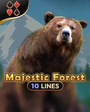Majestic Forest