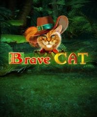 Brave Cat