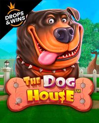 The Dog House