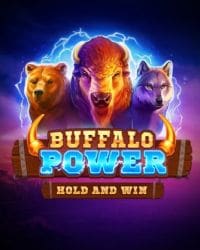 Buffalo Power: Hold and Win