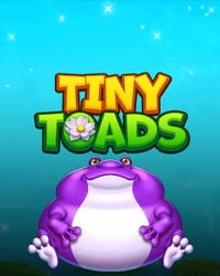 Tiny Toads