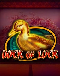 Duck Of Luck